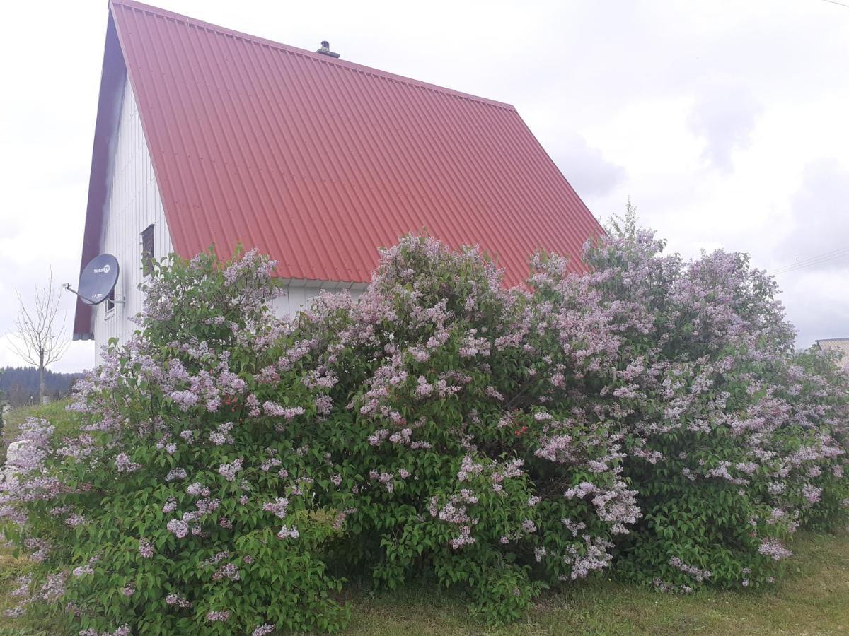 Zabljak Izdavanje Kuce ภายนอก รูปภาพ